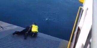 Καπετάνιος έσωσε σκύλο που κολυμπούσε μεσοπέλαγα (VIDEO)