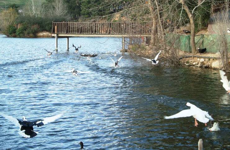 1st Lake Walking, στο Φράγμα Θέρμης αυτή την Κυριακή με δωρεάν συμμετοχή
