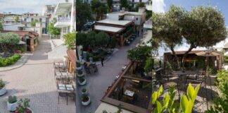 Ψάχνεις ήλιο, λαχταριστό brunch και δροσερά cocktails; Η exotic του αυλή-όαση κρύβεται μέσα στην πόλη