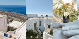 Στο ΑΥΛΗ ΦΕΣΤ, το νέο μουσικό και πολιτιστικό φεστιβάλ του καλοκαιριού, κάθε αυλή μετατρέπεται σε σκηνή