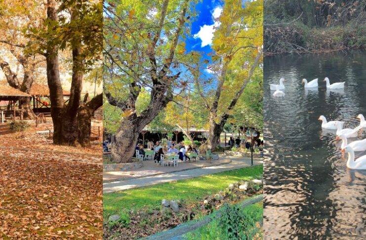 Ο παραδεισένιος πολυχώρος δίπλα στο ποτάμι με τα πλατάνια, τις γεφυρούλες και την ξακουστή πέστροφα