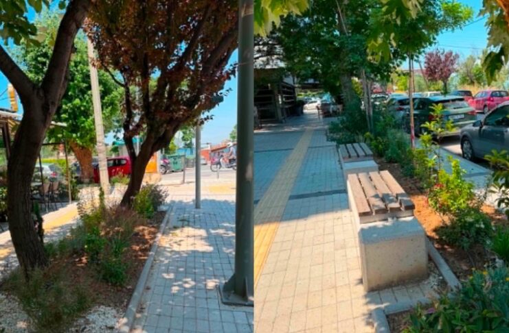Φυτεύσεις σε όλη την Καλαμαριά – Έκκληση του Δήμου Καλαμαριάς στους πολίτες να προστατεύσουν τα νέα δένδρα και φυτά