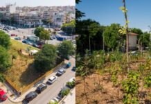 Ο Δήμος Θεσσαλονίκης παρέδωσε το πρώτο Urban Micro Forest της πόλης