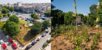 Ο Δήμος Θεσσαλονίκης παρέδωσε το πρώτο Urban Micro Forest της πόλης