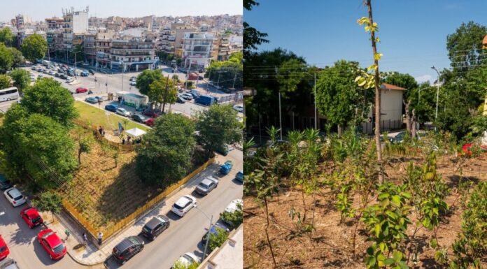 Ο Δήμος Θεσσαλονίκης παρέδωσε το πρώτο Urban Micro Forest της πόλης