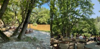 Απόδραση στο Riverland Aggitis Cafe: Βουτιές και απόλυτη δροσιά κάτω από τα πλατάνια