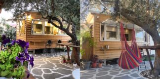 Woody’s Canteen: Street food και χαλάρωση στην αιώρα κάτω από τα ελαιόδεντρα της Βουρβουρούς