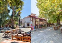Η ταβέρνα του Πηλίου στην πλατεία του χωριού που φημίζεται για το σουβλάκι, το κοκορέτσι και το κοντοσούβλι της