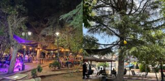 Το μουσικό καφενείο με το «άρωμα» από παλιές εποχές και τα παρεϊστικα live στον καταπράσινο κήπο του