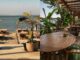 Olivo Halkidiki: Το beach bar που φέρνει premium εξωτικό αέρα δίπλα στο κύμα